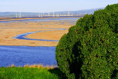 Bayfront Park View - Menlo Park