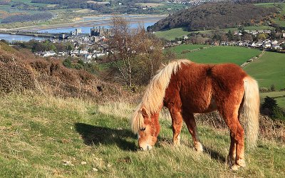 Conwy Hills