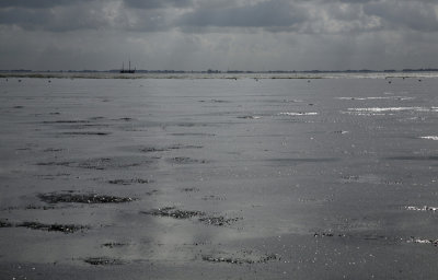low tide