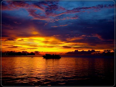 Borneo45.jpg