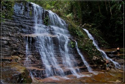 Borneo7.jpg