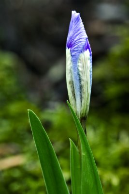 041710-024 8x12.jpg