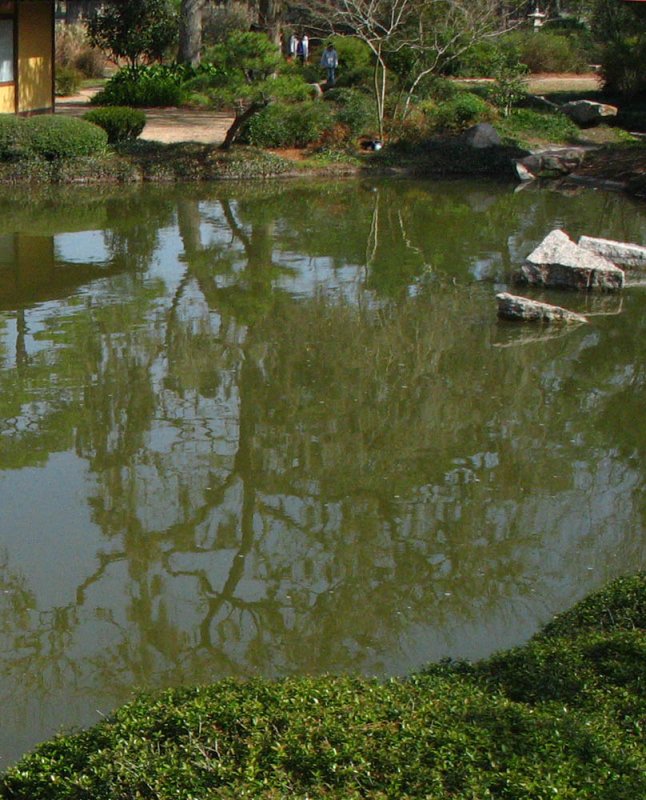 Hermann Park: Japanese Garden