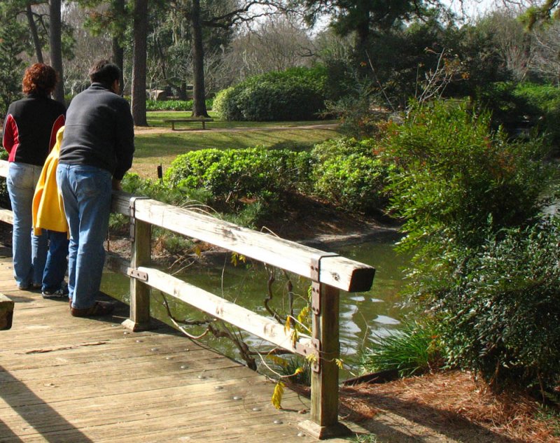 Hermann Park: Japanese Garden Bridge