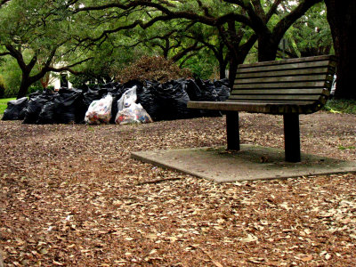 BAGS: Hurricane Ike's aftermath: Bags and Bench