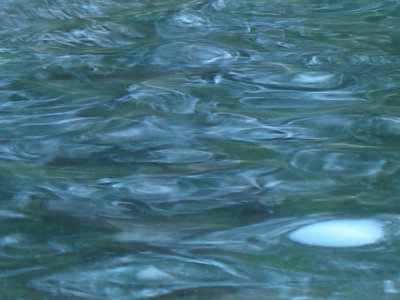 Water in an abstract way: One