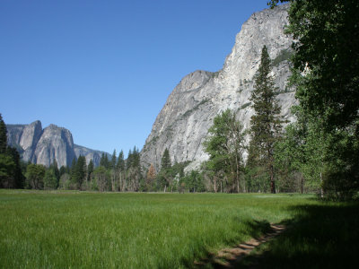 Yosemite: The meadow