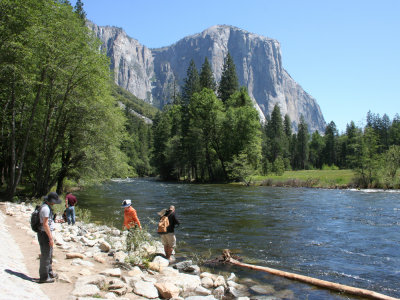 Yosemite: The river