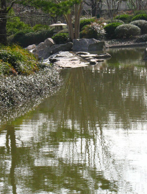 Hermann Park: Japanese Garden