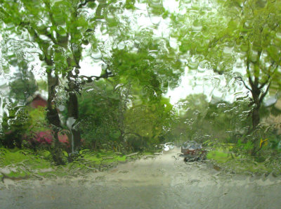 rain1.jpg