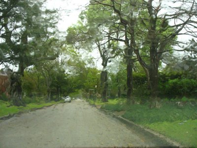 rain3.jpg