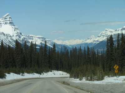 Icefields Highway