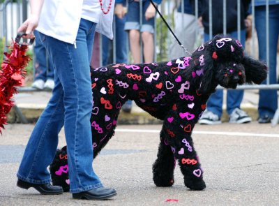 Krewe des Chiens' 2009