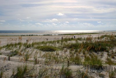 daulphin Island 048.jpg