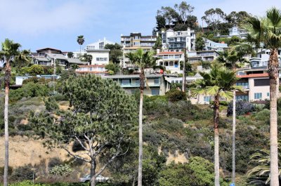 The hillside above Laguna Beach.