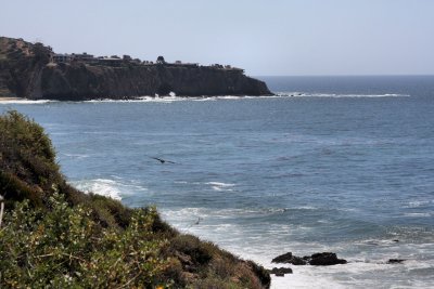 The beautiful coastline of the OC