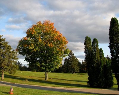 Autumn in the Cemetary