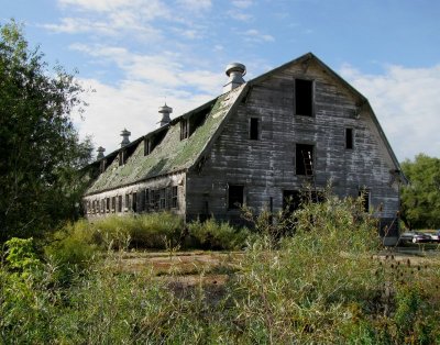 Old Bush Dairy Farm Barn