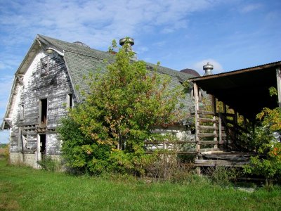 Old Bush Dairy Farm Barn