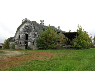 Old Bush Dairy Farm Barn