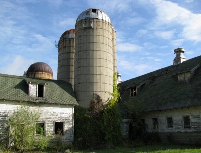 Old Bush Dairy Farm Barn