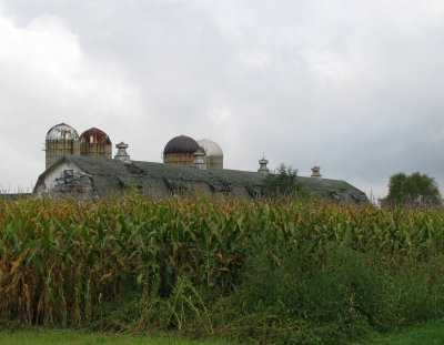 Old Bush Dairy Farm Barn