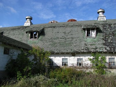 Old Bush Dairy Farm Barn