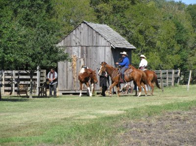 Cowboys