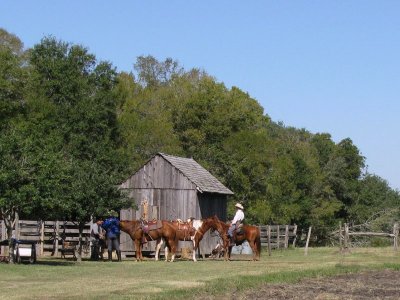 Cowboys