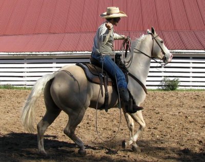 Riding and Roping
