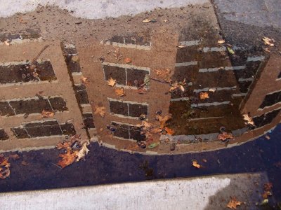 Windows in a Puddle