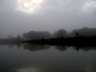 November Day - Navidad River