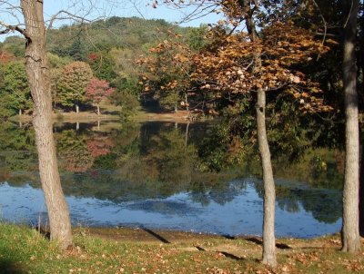 Fall Reflection at North Park