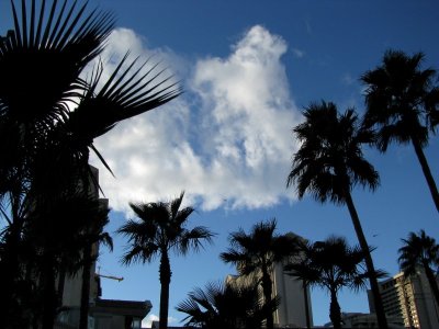 DAYTIME OUT & ABOUT ~ LAS VEGAS 2008