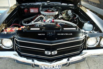 g1/29/809929/3/113764409.J32qLyhy.jpg