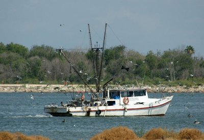 Shrimp Boat