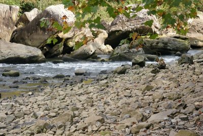 Gauley River Rocks