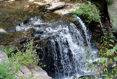 Waterfalls Along the Road