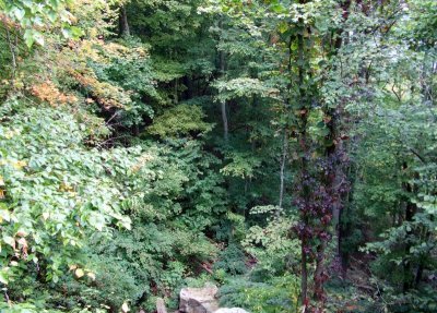 Looking Down  from Kaymoor Mine Trail