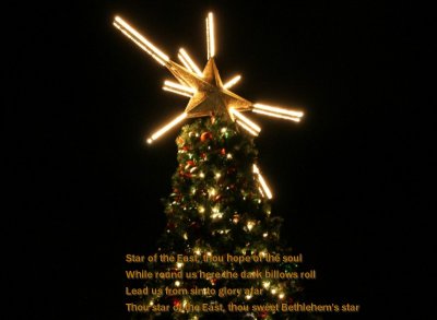 Day 25 ~ The Christmas Star