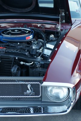 g1/29/809929/3/131977306.2qUbGonJ.jpg