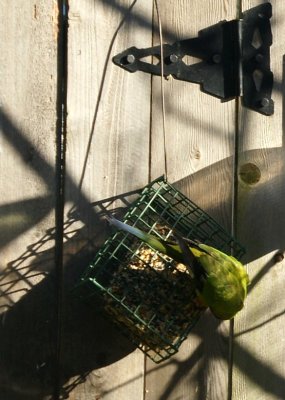 Day 26 ~ Lunch on a Gate