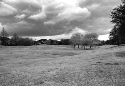 Golf Course in Black and White