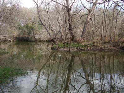 Navidad Slough