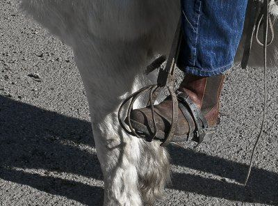 g1/29/817729/3/110135415.lwiE1r0k.jpg