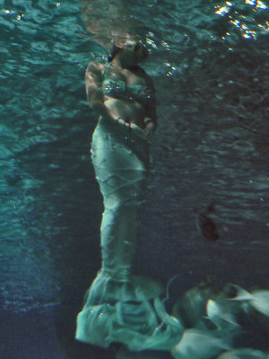 Mermaids are unique for aquariums