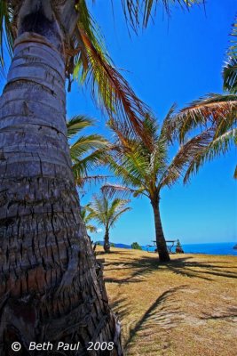 Hamilton Island