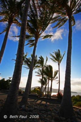 Hamilton Island