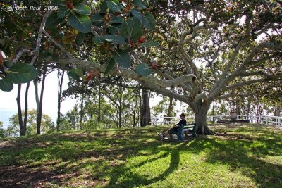 Sandgate Beach