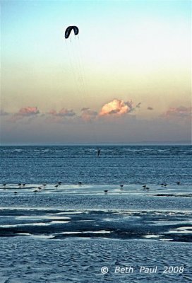 Sandgate Beach